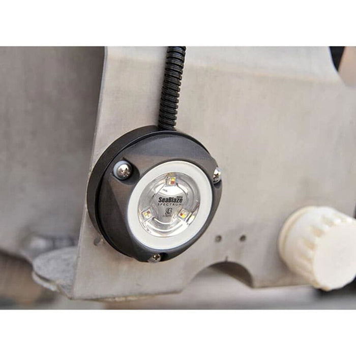 Lumitec Zambezi Mini Surface Mount Underwater Light, White Non-Dimming